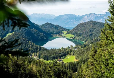 Wilder_Kaiser_Scheffau_Hintersteiner See_Herbst2021_ThomasHennerbichler (6)_1920px.jpg