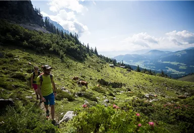 Scheffau_Kaiser-Hochalm_Aufstieg Scheffauer_Wilder Kaiser