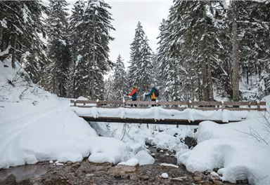Schneeschuhwandern_Scheffau_Winter21_Wilder Kaiser_Mathäus Gartner (16)_verkleinert.jpg