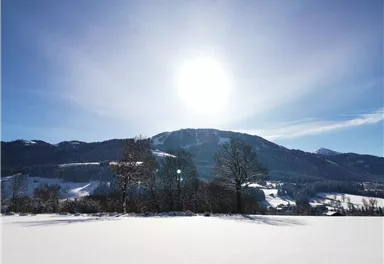 Scheffau_Soell_Kaiserblick-Winterrunde_2021_TVB_Wilder_Kaiser (15).jpg