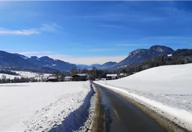 Scheffau_Soell_Kaiserblick-Winterrunde_2021_TVB_Wilder_Kaiser (14).jpg