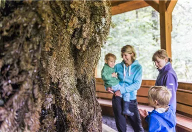 Kneipprunde Scheffau