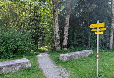Scheffau_Kneippweg_Sommer_2024 (2).jpg