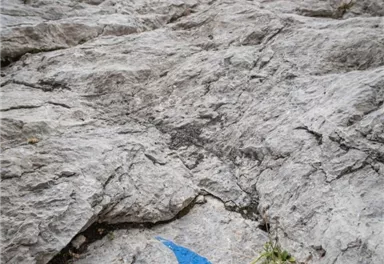 Scheffau_Kopfkraxen_Blue Moon_Wilder Kaiser