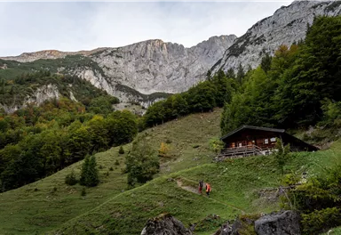 Scheffau_Kopfkraxen_Wilder Kaiser