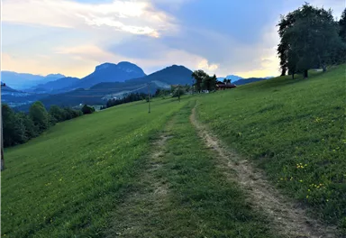 Scheffau_Laufrunde Jägerwirt-Schießling_Wilder Kaiser