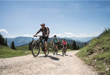 Scheffau_Mountainbike_E-Bike_Walleralm_Wilder Kaiser