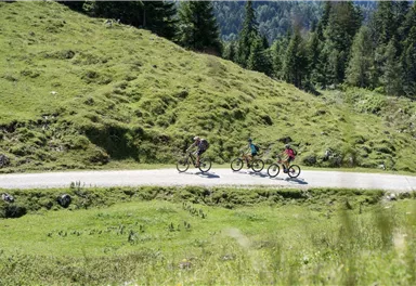 Scheffau_Mountainbiketour Walleralm_Wilder Kaiser