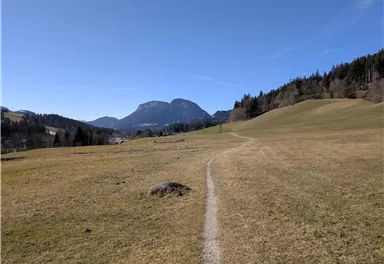 Scheffau_Niederachen_Feldweg nach Scheffau_Winter_Frühling