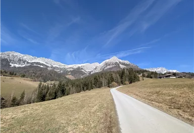 Scheffau_Ötting_Kaisern_Fahrweg_Kaiserblick_Winter_Frühling