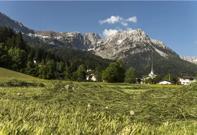 Ortansicht_Scheffau_Foto von Felbert_Reiter (2) 72dpi.jpg