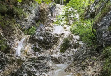 Scheffau_Rehbachklamm_Wilder Kaiser