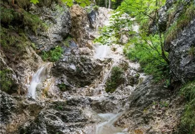 Rehbachklamm_Scheffau_Foto von Felbert_Reiter (32).jpg