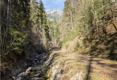 Scheffau_Almen und Seebachgraben Runde_März 2025_TVB Wilder Kaiser (27).jpg