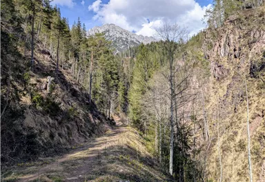 Scheffau_Almen und Seebachgraben Runde_März 2025_TVB Wilder Kaiser (11).jpg