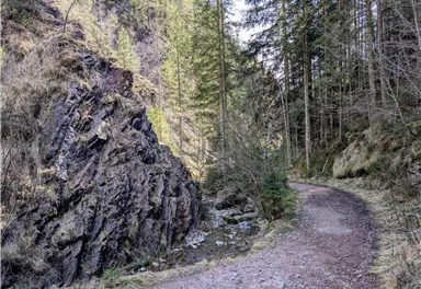 Scheffau_Almen und Seebachgraben Runde_März 2025_TVB Wilder Kaiser (17).jpg
