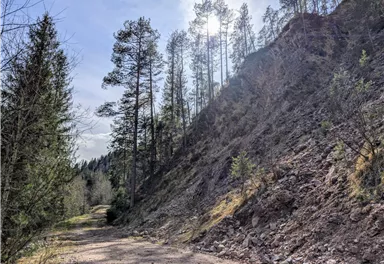 Scheffau_Almen und Seebachgraben Runde_März 2025_TVB Wilder Kaiser (14).jpg