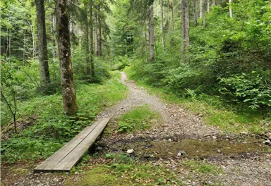 Scheffau_Seebachgraben_Wanderweg_Wilder Kaiser