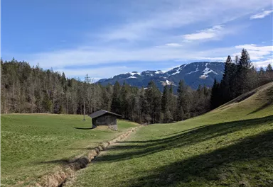 Scheffau_Almen und Seebachgraben Runde_März 2025_TVB Wilder Kaiser (34).jpg