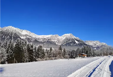 Scheffau_Soell_Kaiserblick-Winterrunde_Bärbichl_Wilder_Kaiser