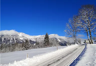 Scheffau_Soell_Kaiserblick-Winterrunde_Hauning_Wilder_Kaiser