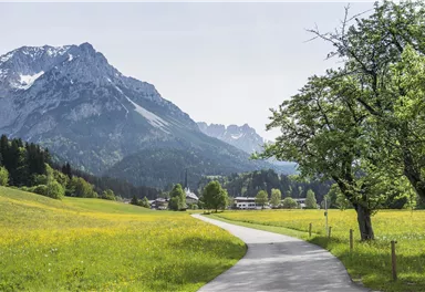 Scheffau_Sommer_Wilder Kaiser