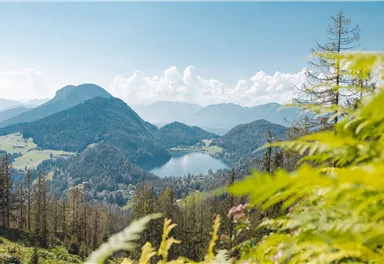 Scheffau_Steiner-Hochalm_Ausblick Hintersteiner See_Wilder Kaiser