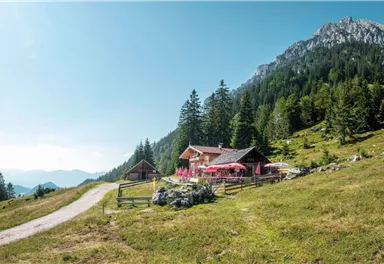 Steiner Hochalm_Scheffau_Foto Stefan Leitner (2)_72dpi_2000px.jpg