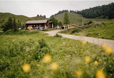 Scheffau_Stöfflhütte_Sommer_Wilder Kaiser