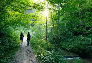 Scheffau_Talschuster-Steinacker_Wilder Kaiser