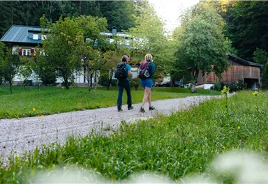 Scheffau_Talschuster_Wilder Kaiser