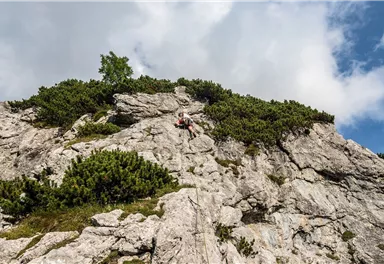 Scheffau_Treffauer_König der Löwen_Wilder Kaiser