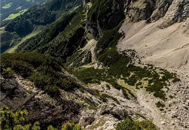 Scheffau_Treffauer_König der Löwen_Wilder Kaiser