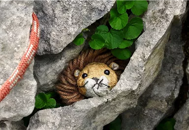 Scheffau_Treffauer_König der Löwen_Wilder Kaiser