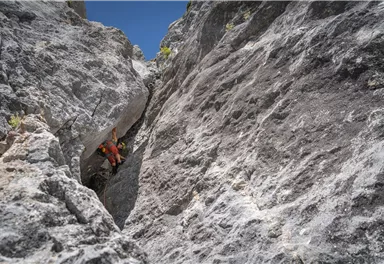 Scheffau_Treffauer_Sappl-Zott_Wilder Kaiser