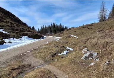 Scheffau_Walleralm_Forstweg_Februar_März
