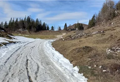 Scheffau_Walleralm_Forstweg_mit Schnee_Februar_März.jpg