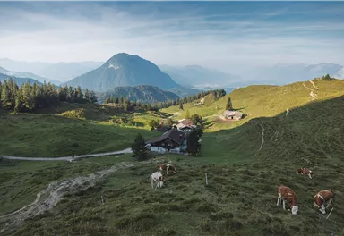 Walleralm_Sommer2023_Foto_MathäusGartner (124)_72dpi.jpg