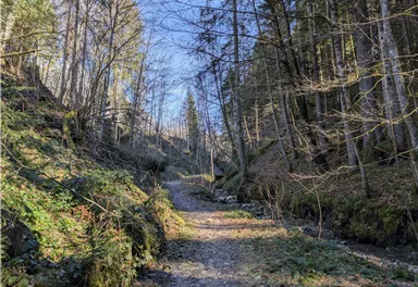 Scheffau_Wanderweg_Treffauerbach_Winter_Frühling