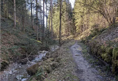 Scheffau_Schiessling_Runde_März_2025_TVB Wilder Kaiser (29).jpg