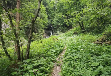 Wasserfall Breuergraben_Verena Entholzer (11).jpg