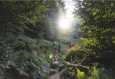 Kaiserkrone_Weitwanderweg_2023_Etappe3_MathäusGartner (49)_72dpi.jpg