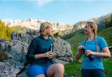 Scheffau_Wegscheid-Niederalm_Wilder Kaiser