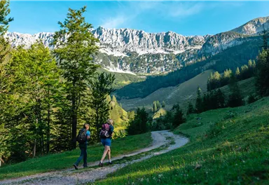 Scheffau_Wegscheid_Wilder Kaiser