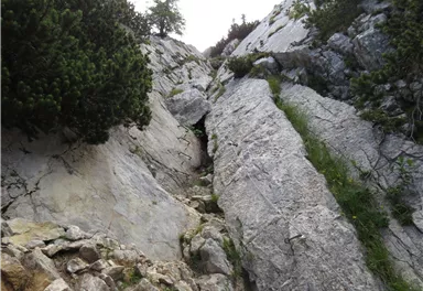 Scheffau_Widauersteig_Wilder Kaiser