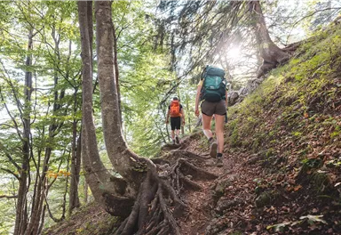 Kaiserkrone_Weitwanderweg_2023_Etappe2_MathäusGartner (17)_72dpi.jpg