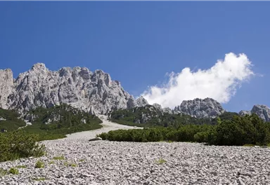 Wilder Kaiser Steig