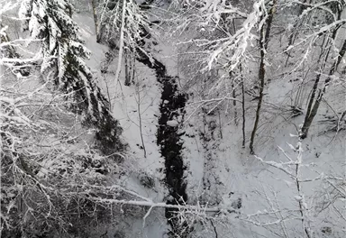 Scheffau_Winter-Rehbachrunde_Blick in die Rehbachschlucht
