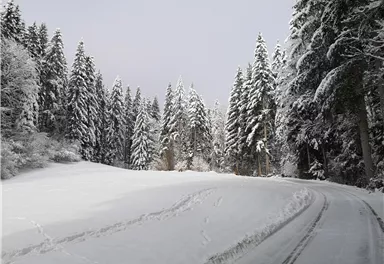 Scheffau_Winter-Rehbachrunde_Weg Richtung Parkplatz Gaisberg