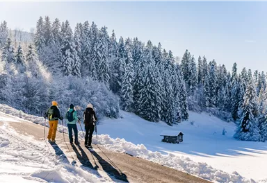 Scheffau_Winterwandern_Bäume_Hütte_Steinacker